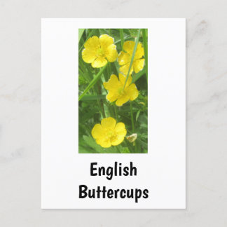 Carte postale Bouton Anglais