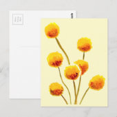 Carte Postale Bouton Billy jaune fleur australienne originaire (Devant / Derrière)