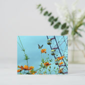 Carte Postale Bouton bleu Triangle & Fleurs Cosmos : Japon (Debout devant)