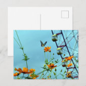 Carte Postale Bouton bleu Triangle & Fleurs Cosmos : Japon (Devant / Derrière)