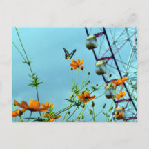 Bouton bleu Triangle & Fleurs Cosmos : Japon