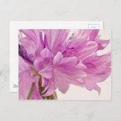 Carte Postale Bouton de mise à jour (Devant / Derrière)