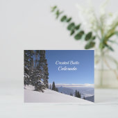 Carte Postale Bouton de museau, CO (Debout devant)