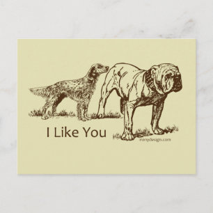 Carte Postale Bouton des nids de chien