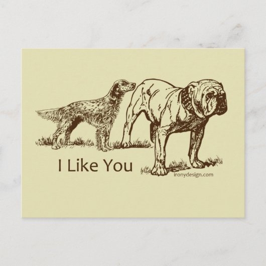 Carte Postale Bouton des nids de chien (Devant)