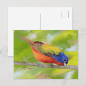 Carte Postale Bouton peint sur la jambe de membre JW (Devant / Derrière)