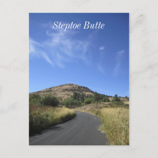 Carte Postale Bouton Steptoe