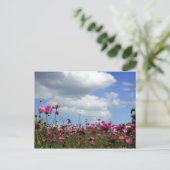 Carte Postale Boutons (Debout devant)