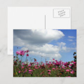 Carte Postale Boutons (Devant / Derrière)