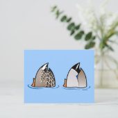 Carte Postale Boutons de canard (Debout devant)