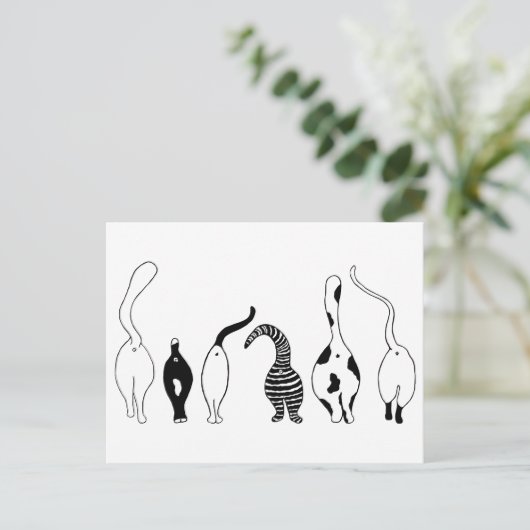 Carte Postale Boutons de chat (Debout devant)