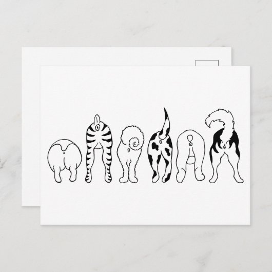 Carte Postale Boutons de chien (Devant / Derrière)