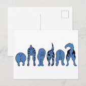 Carte Postale Boutons de chien bleu (Devant / Derrière)