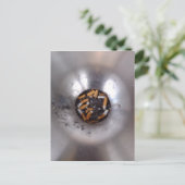 Carte Postale Boutons de cigarettes en argent fumeur Ashtray, dr (Debout devant)