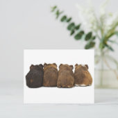 Carte postale Boutons de porc de Guinée (Debout devant)