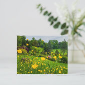Carte Postale Boutons d'or (Debout devant)