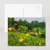 Carte Postale Boutons d'or (Devant / Derrière)