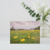 Carte Postale Boutons en Ecosse (Debout devant)