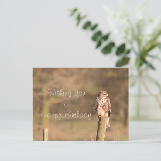 Carte Postale Bouzzard (Debout devant)