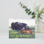 Carte Postale Bovine Lullaby (Debout devant)