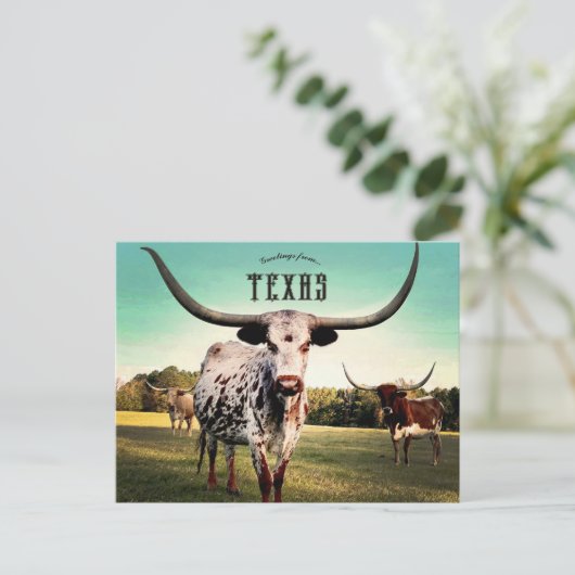 Carte Postale Bovins Longhorn à Atlanta Texas (Debout devant)