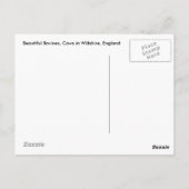 Carte Postale Bovins, Vaches en Wiltshire, Angleterre (Dos)