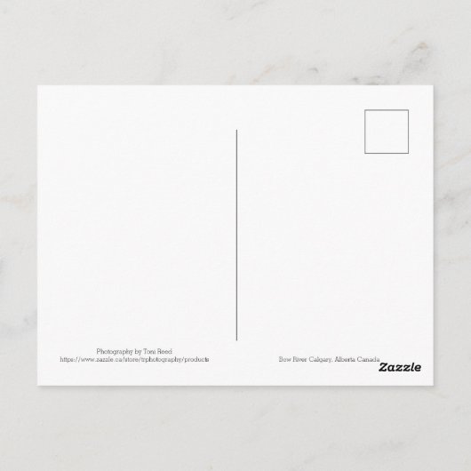 Carte Postale Bow (Dos)