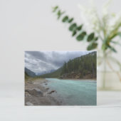 Carte Postale Bow (Debout devant)