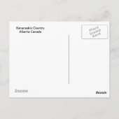 Carte Postale Bow (Dos)