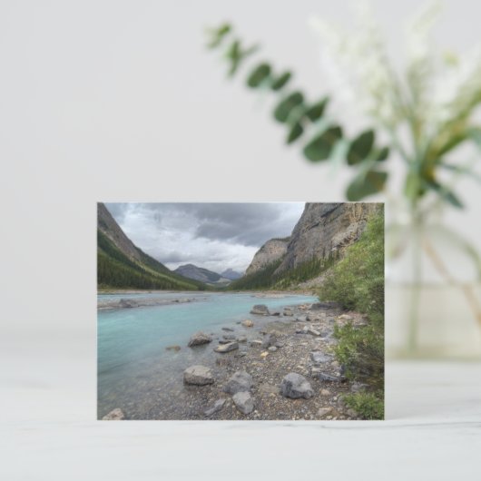 Carte Postale Bow (Debout devant)