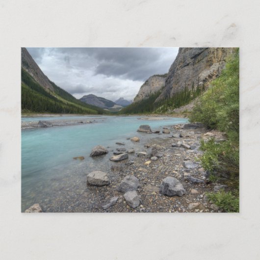 Carte Postale Bow (Devant)