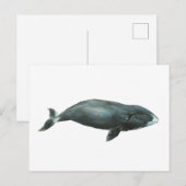 Carte Postale Bowhead Whale Watercolor illustration (Devant / Derrière)