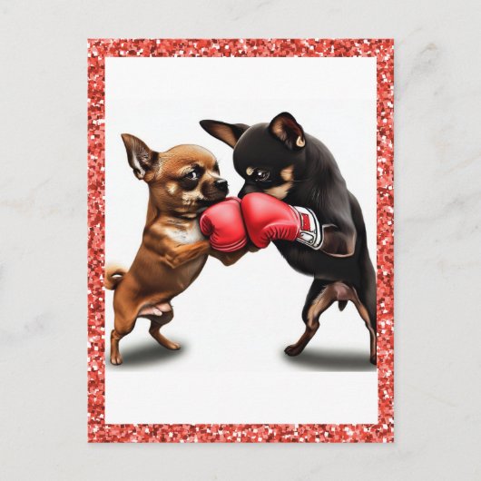 Carte Postale Boxe art Chihuahuas (Devant)