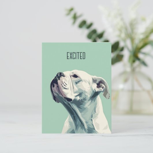 Carte Postale Boxe blanche (Debout devant)