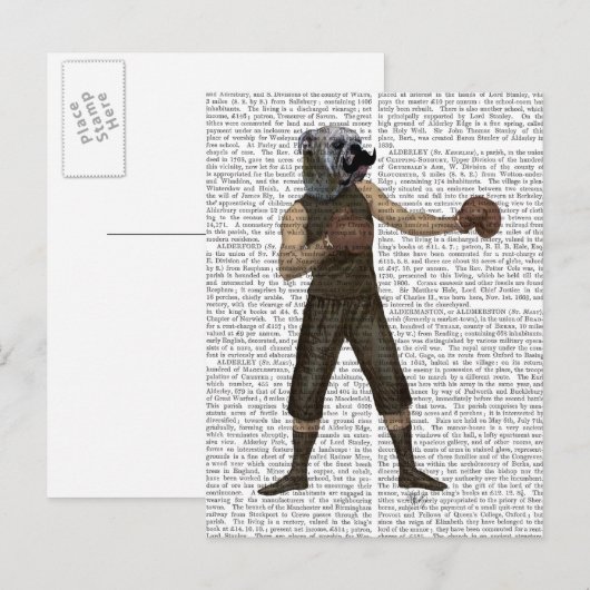Carte Postale Boxe Bulldog (Devant / Derrière)