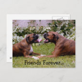 Carte postale Boxer (Devant / Derrière)