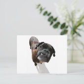 Carte Postale Boxer Chien race (Debout devant)