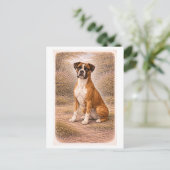 Carte Postale Boxer de style vintage (Debout devant)