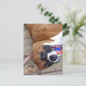 Carte postale Boxer Dog (Debout devant)