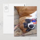 Carte postale Boxer Dog (Devant / Derrière)