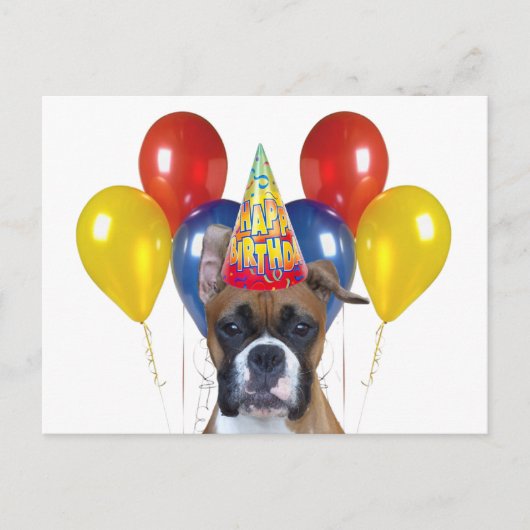 Carte postale Boxer happy anniversaire (Devant)