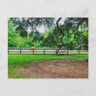 Carte postale Boy Hall Stables