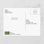 Carte postale Boy Hall Stables (Dos)