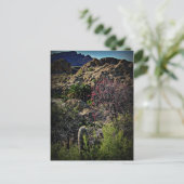 Carte Postale Boyce Thompson Arboretum (Debout devant)