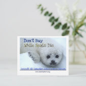 Carte Postale Boycott Canada (Debout devant)