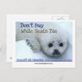 Carte Postale Boycott Canada (Devant / Derrière)