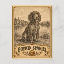 Boykin Spaniel, Objet de Patrimoine Vintage Chien