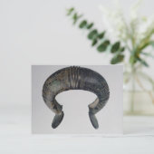 Carte Postale Bracelet, de Reallon, Hautes-Alpes (Debout devant)