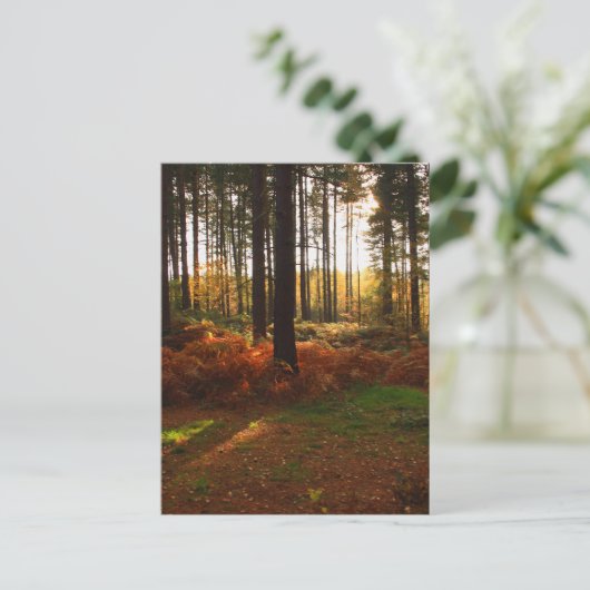 Carte Postale Bracket (Debout devant)