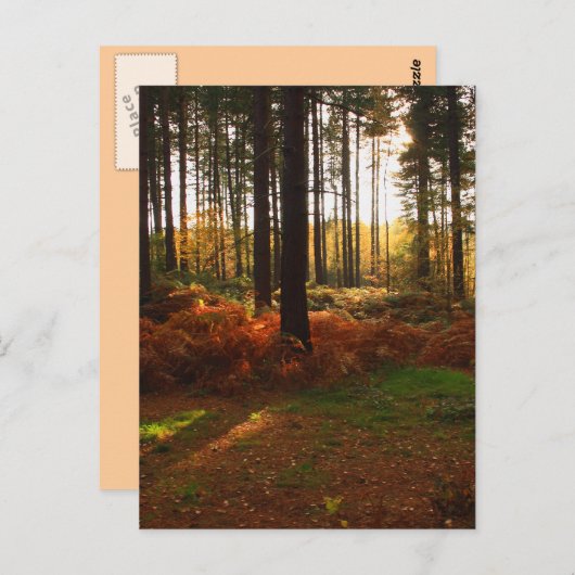 Carte Postale Bracket (Devant / Derrière)